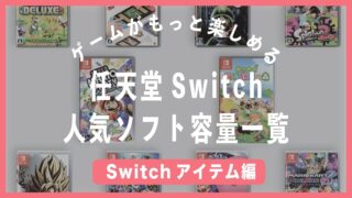 switch 人気ソフト 容量